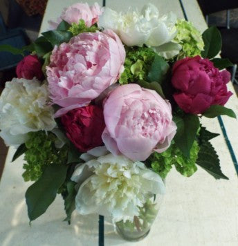 Pivoines de Juin 2 -  - sophiedorval